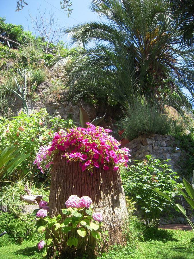 Suite I Limoni Ravello Exterior photo