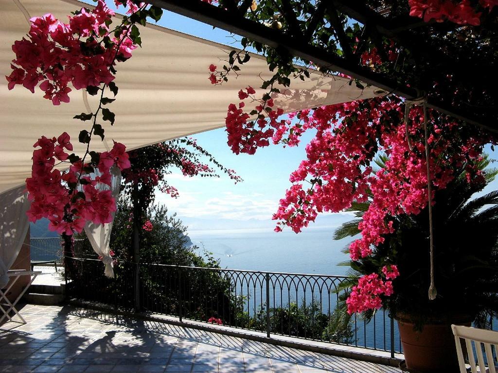 Suite I Limoni Ravello Exterior photo