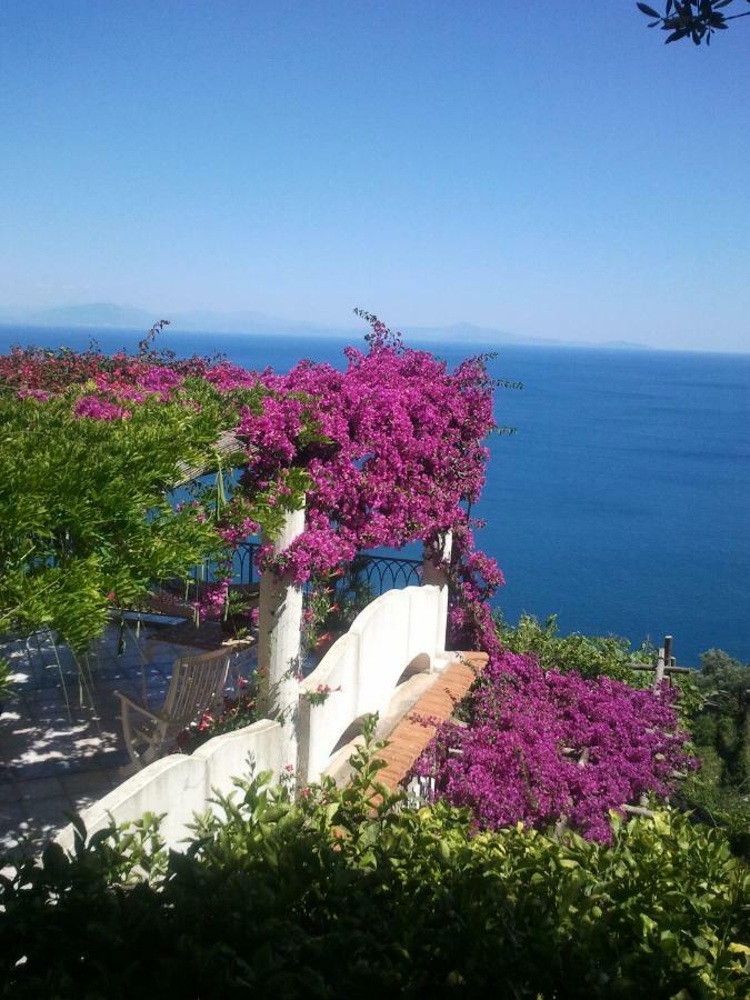 Suite I Limoni Ravello Exterior photo